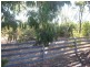 33 Specimen Hill Road, Golden Square VIC 3555