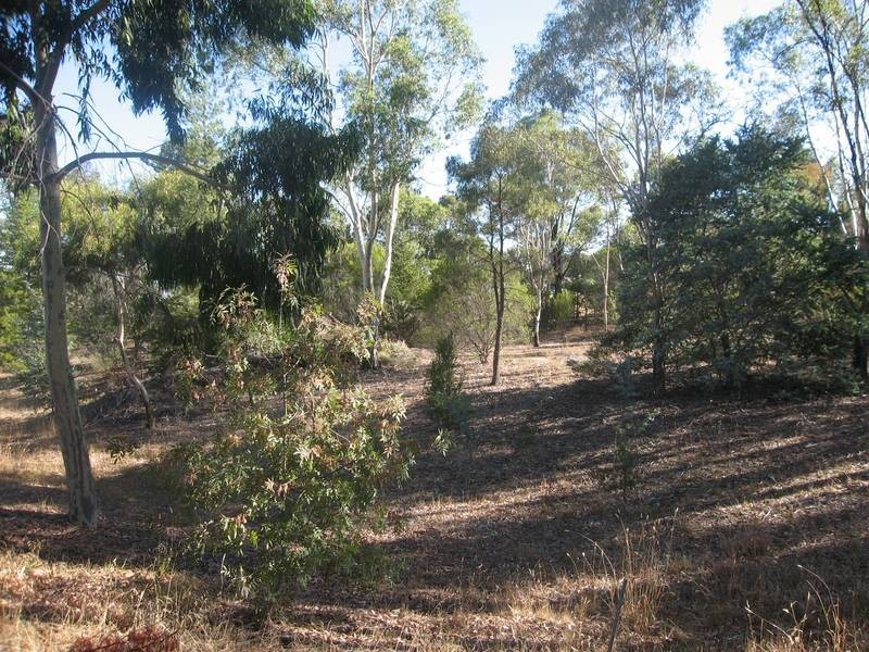 33 Specimen Hill Road, Golden Square VIC 3555