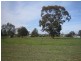 Corner Calder Hwy & Walnut St, Bridgewater VIC 3516