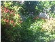 49 Jackson Street, California Gully VIC 3556