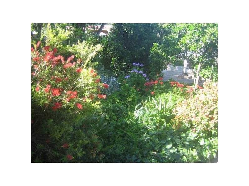 49 Jackson Street, California Gully VIC 3556
