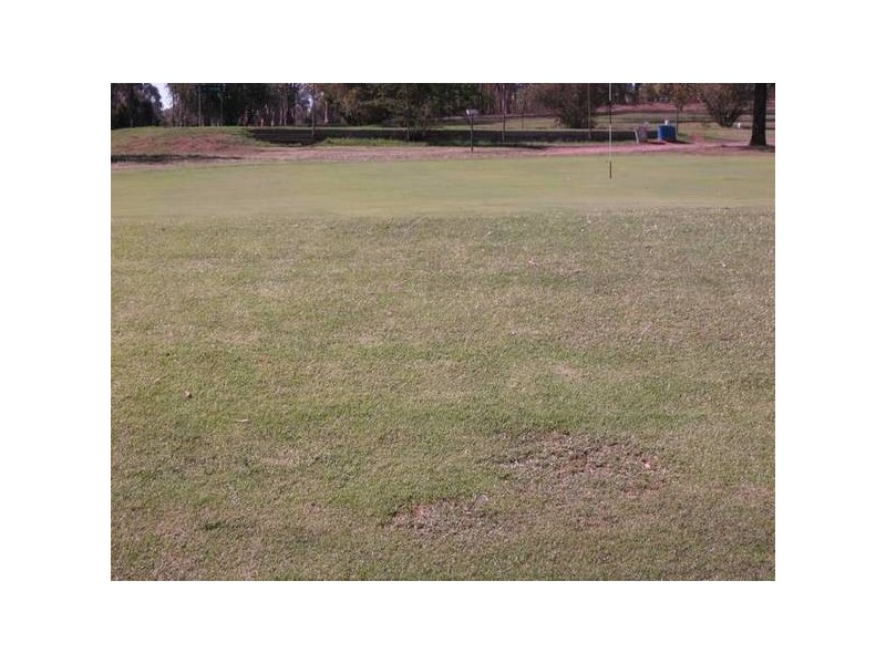 394 Howard Street, Eaglehawk VIC 3556