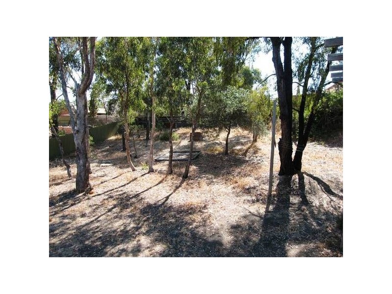 3 Hillview Street, Flora Hill VIC 3550