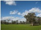 50 Racecourse Road, White Hills VIC 3550