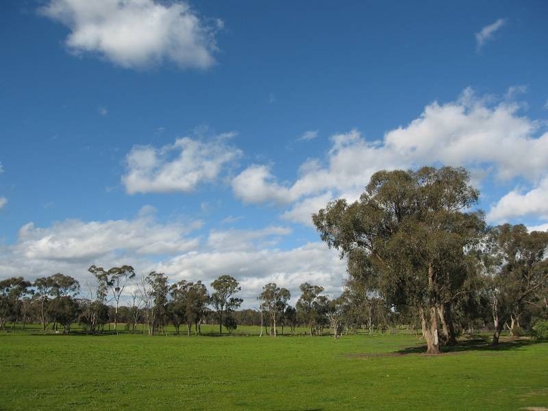 50 Racecourse Road, White Hills VIC 3550