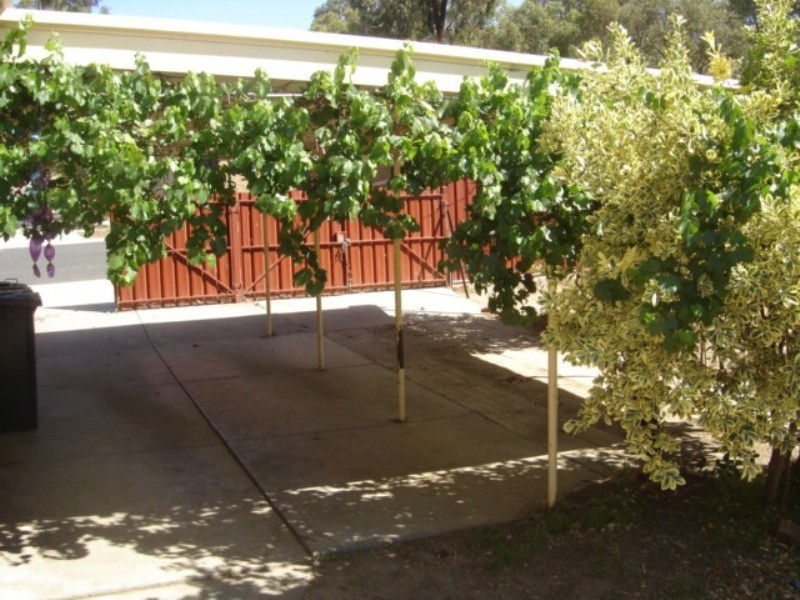 213 Holdsworth Road, White Hills VIC 3550