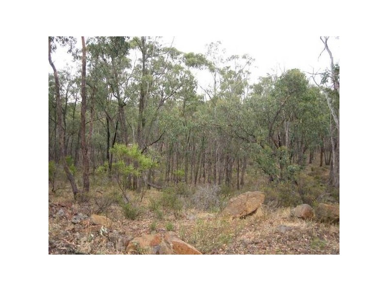 LOT 127 Native Gully Crescent, Strathfieldsaye VIC 3551