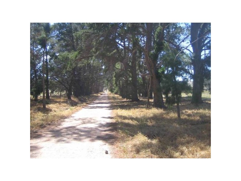 48 Hamilton Way, Lockwood South VIC 3551