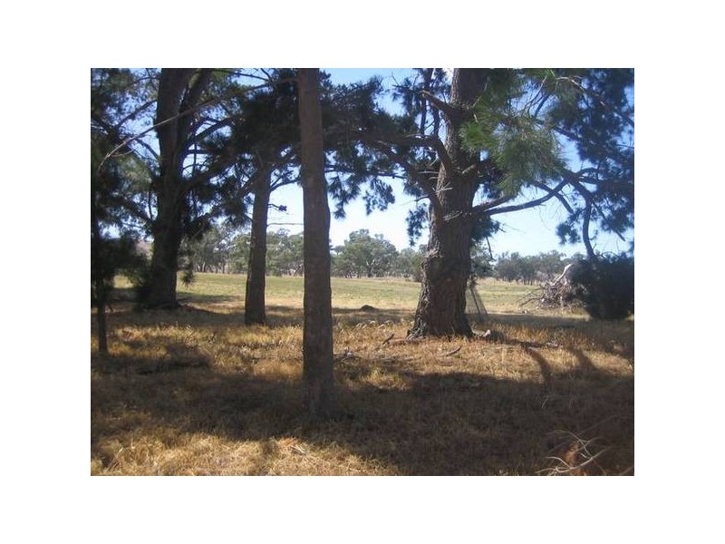 48 Hamilton Way, Lockwood South VIC 3551