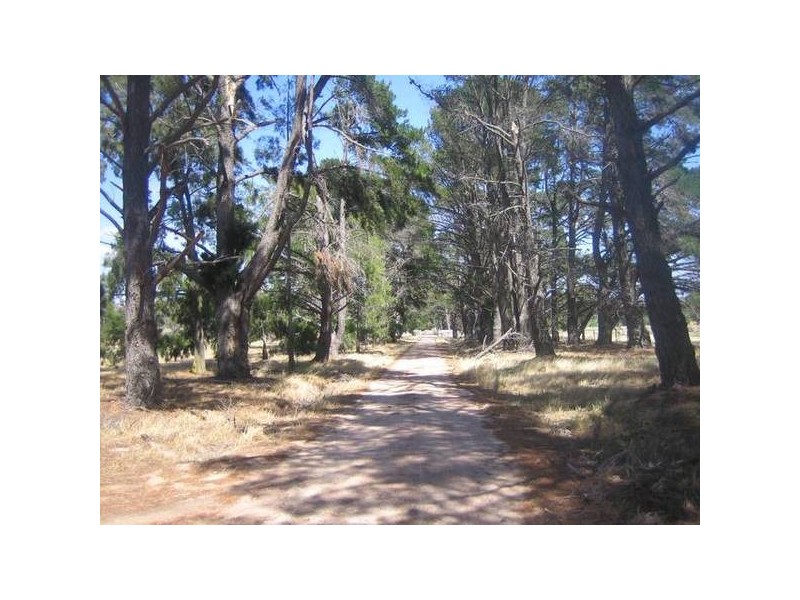 48 Hamilton Way, Lockwood South VIC 3551