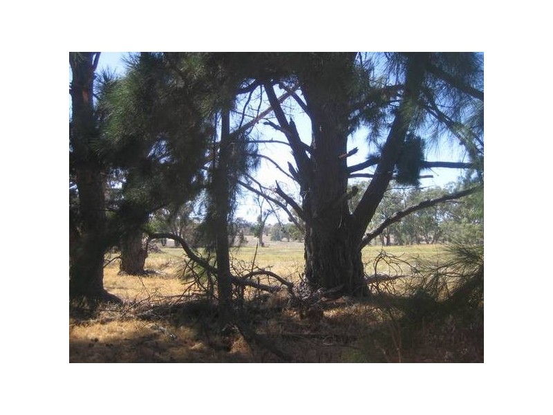 48 Hamilton Way, Lockwood South VIC 3551