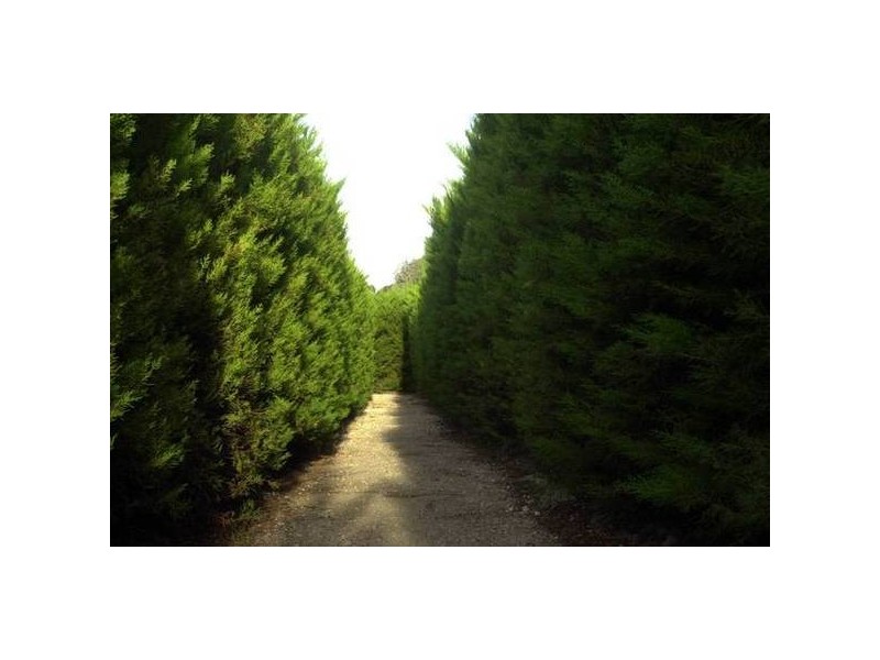 5 Pentlands Road, Mandurang VIC 3551