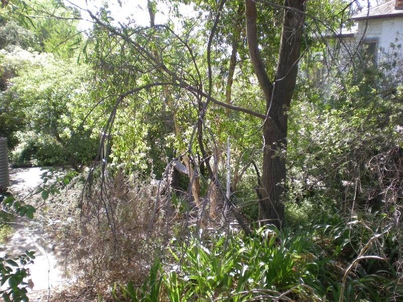 214 Don Street, Bendigo VIC 3550