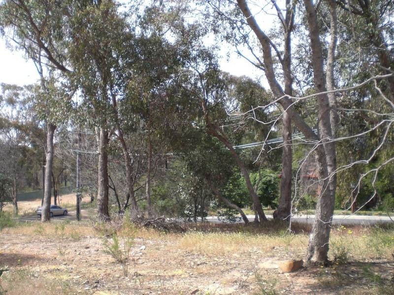 18 Francliff Avenue, Spring Gully VIC 3550