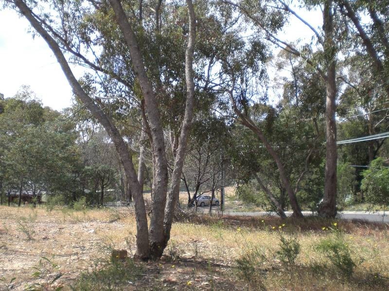 18 Francliff Avenue, Spring Gully VIC 3550