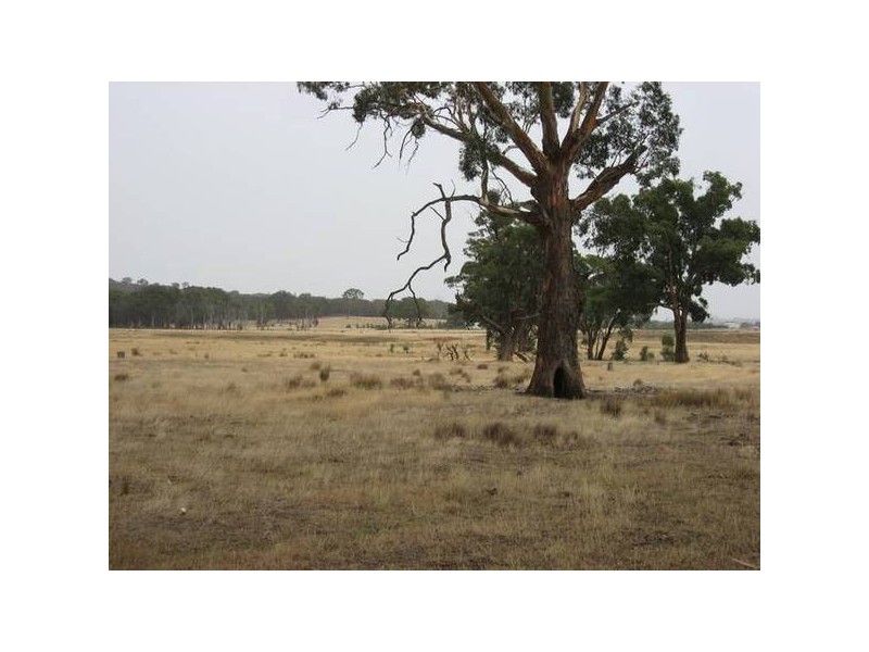 129 Railway Street, Elphinstone VIC 3448