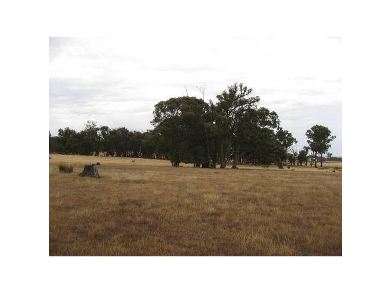 129 Railway Street, Elphinstone VIC 3448