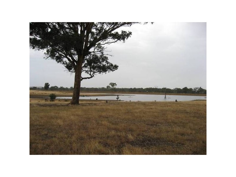 129 Railway Street, Elphinstone VIC 3448