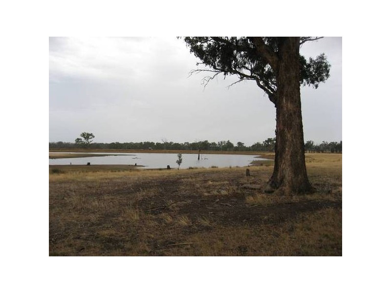 129 Railway Street, Elphinstone VIC 3448