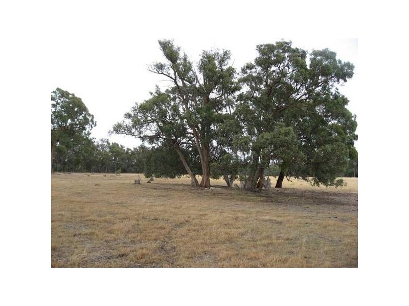 129 Railway Street, Elphinstone VIC 3448