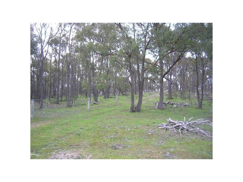 4 Reyn Road, Myrtle Creek VIC 3444