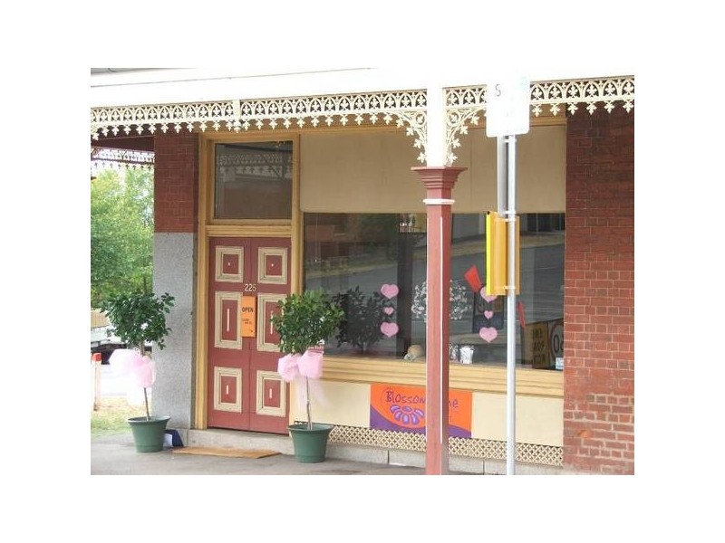UNIT 1/225 Barnard Street, Bendigo VIC 3550