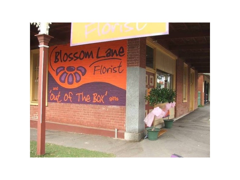 UNIT 1/225 Barnard Street, Bendigo VIC 3550