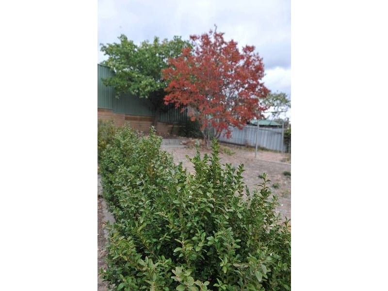 117 Eaglehawk Road, Bendigo VIC 3550