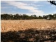 1451 Neilborough Road, Neilborough VIC 3570