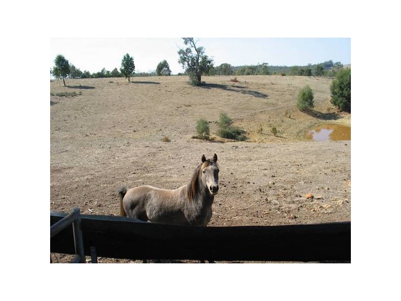 69 Mechan Road, Axe Creek VIC 3551