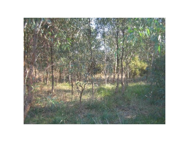 15 Wesley Street, Kangaroo Flat VIC 3555