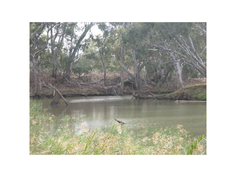 37 Burnewang Street, Elmore VIC 3558