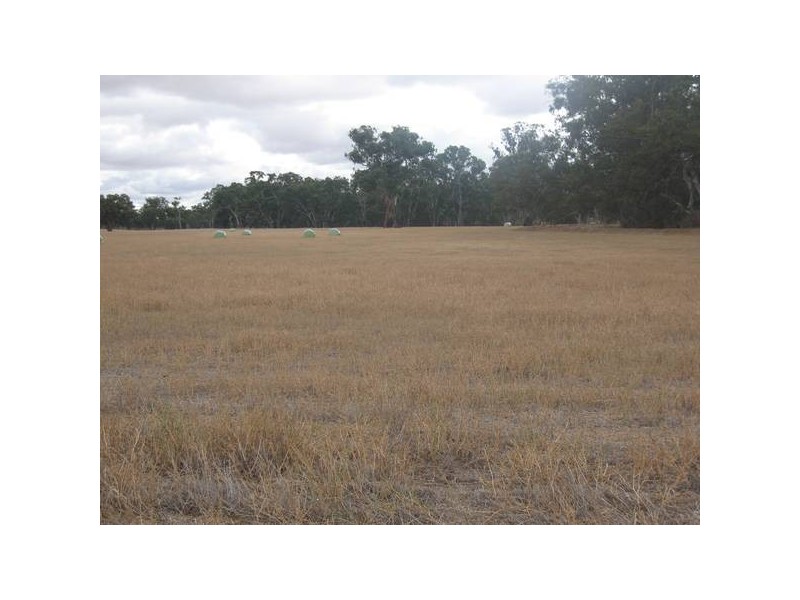 37 Burnewang Street, Elmore VIC 3558