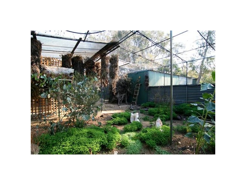 4 Springs Road, Sedgwick VIC 3551