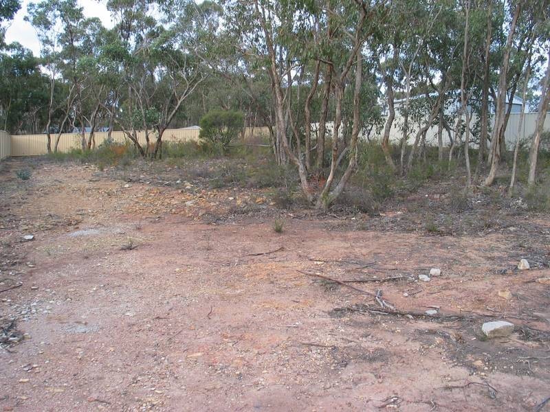 38 Pioneer Drive, Maiden Gully VIC 3551