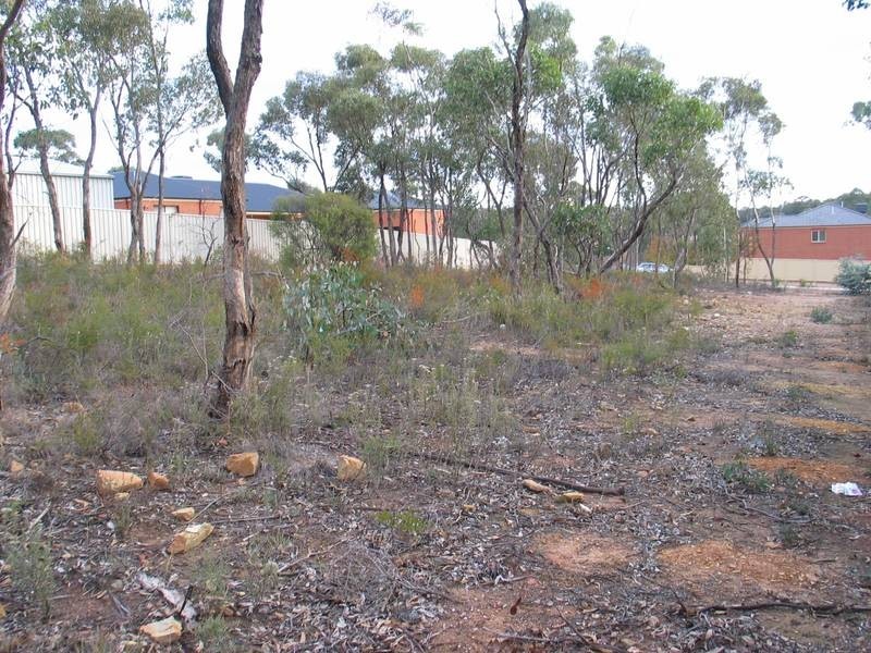 38 Pioneer Drive, Maiden Gully VIC 3551