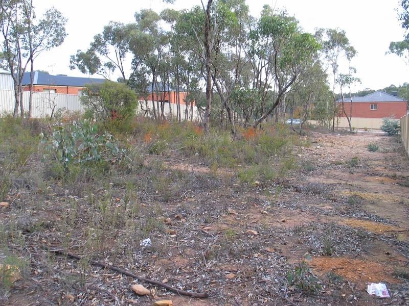 38 Pioneer Drive, Maiden Gully VIC 3551