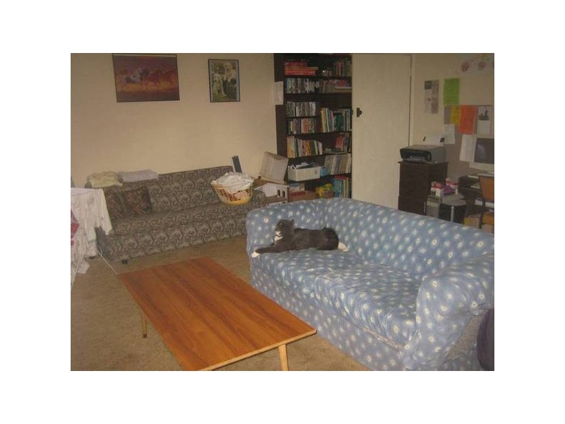 17 Drechsler Street, Flora Hill VIC 3550