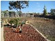 13 Wattleview Grove, Eaglehawk VIC 3556