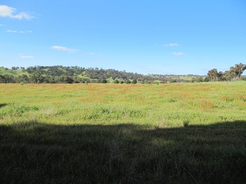 Wingrave Lane & Calder Alternate Highway (corner), Lockwood South VIC 3551