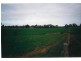 Wingrave Lane & Calder Alternate Highway (corner), Lockwood South VIC 3551