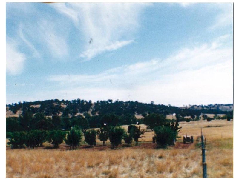 Wingrave Lane & Calder Alternate Highway (corner), Lockwood South VIC 3551