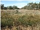 Strickland Rd & McGoldricks Court, East Bendigo VIC 3550