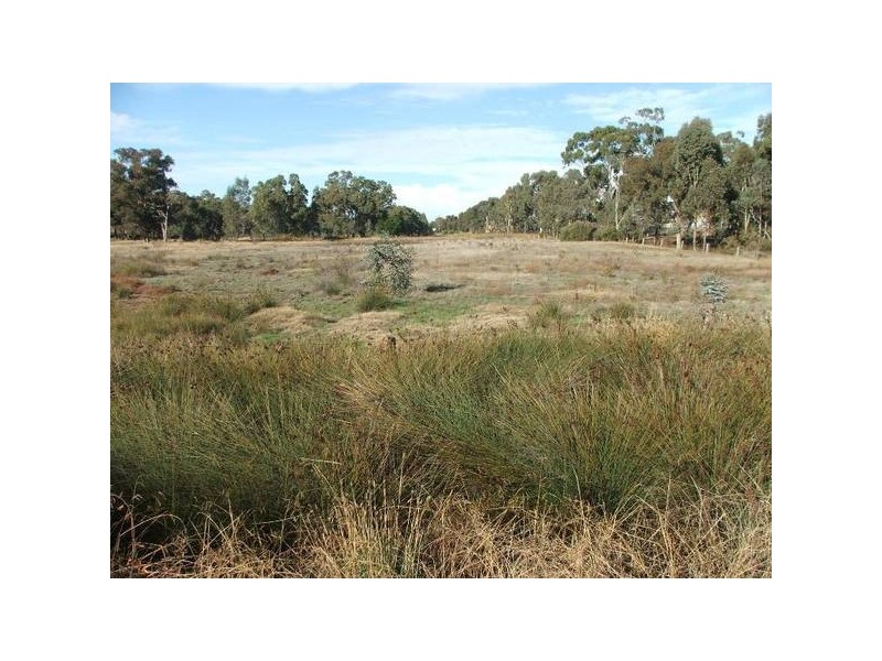 Strickland Rd & McGoldricks Court, East Bendigo VIC 3550