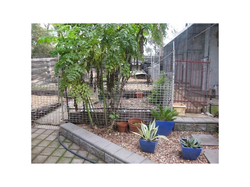 22 Walker Drive, Spring Gully VIC 3550