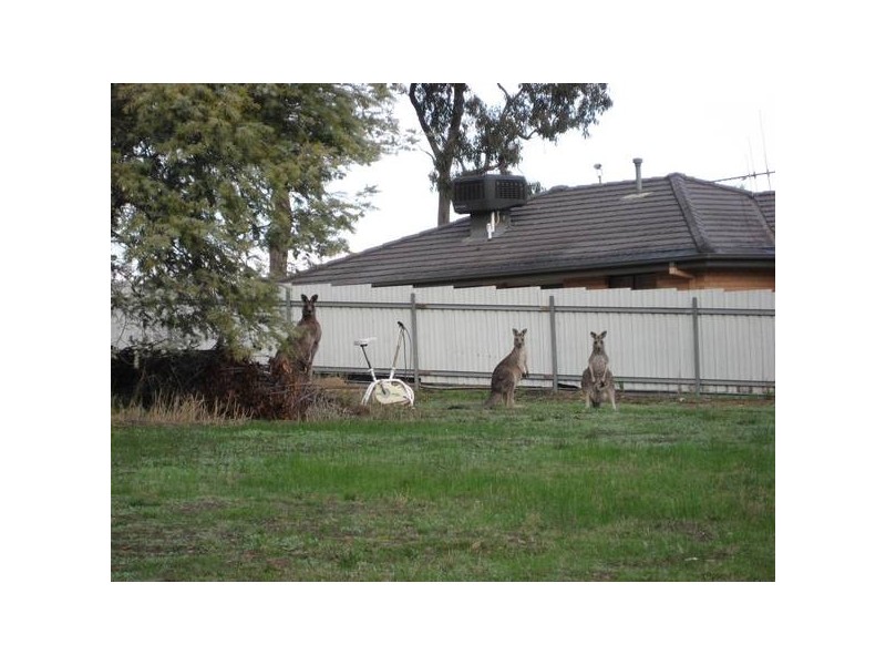 110 Osborne Street, Flora Hill VIC 3550