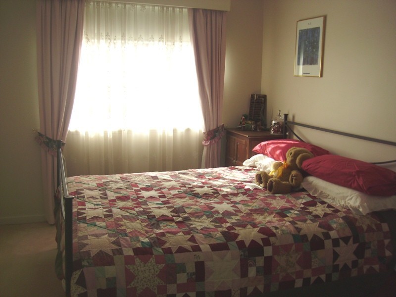 439 Napier Street, White Hills VIC 3550