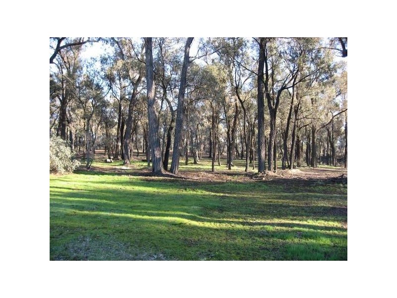 19 Woodlands Drive, Eaglehawk VIC 3556