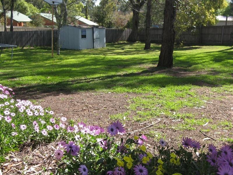 14 Palm Avenue, Spring Gully VIC 3550