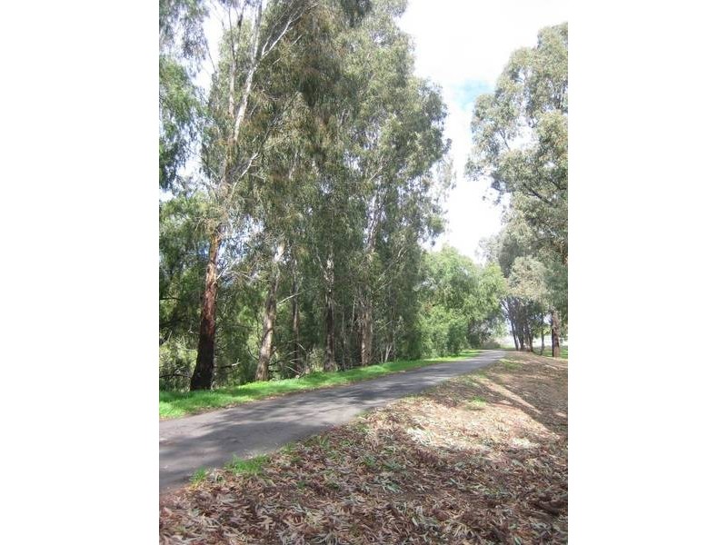 11 Sharyn Street, White Hills VIC 3550